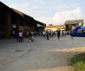 picture-13
