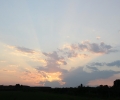 picture-130