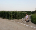 picture-51