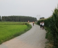 picture-64