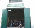 picture-11